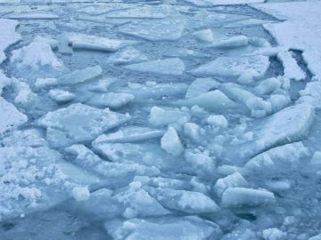 Cold Water Survival